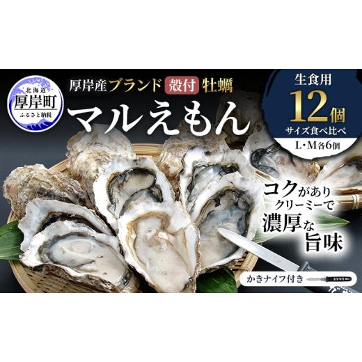 ふるさと納税 牡蠣 生牡蠣 北海道 厚岸町 厚岸産 ブランド 殻付カキ マルえもん 生食用 サイズ食べ比べ 12個 (L・M各6個) 魚貝類 生牡蠣 かき 牡蠣 カキ 生ガ…