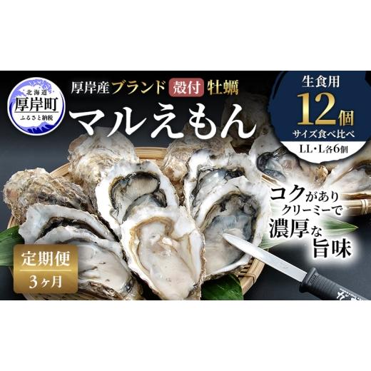 ふるさと納税 牡蠣 生牡蠣 北海道 厚岸町 3ヵ月 定期便 厚岸産 ブランド 殻付カキ マルえもん 生食用 サイズ食べ比べ 12個 (LL・L各6個) 魚貝類 生牡蠣 かき …