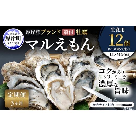 ふるさと納税 牡蠣 生牡蠣 北海道 厚岸町 3ヵ月 定期便 厚岸産 ブランド 殻付カキ マルえもん 生食用 サイズ食べ比べ 12個 (LL・M各6個) 魚貝類 生牡蠣 かき …