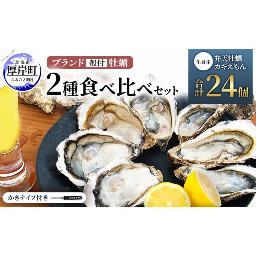 ふるさと納税 牡蠣 生牡蠣 北海道 厚岸町 北海道 厚岸産 ブランド 殻付牡蠣 食べ比べ 弁天牡蠣 A3サイズ カキえもんLL サイズ 各12個 生食用 牡蠣 カキ かき …