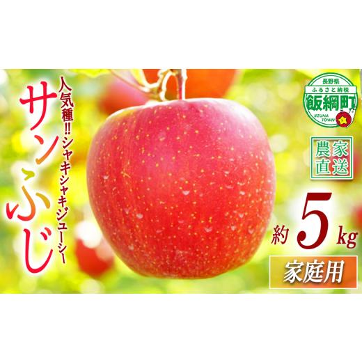 ふるさと納税 りんご 長野県 飯綱町 りんご サンふじ 家庭用 5kg 清次郎農園 沖縄県への配送不可 2026年12月上旬頃から2026年12月下旬頃まで順次発送予定 令和…