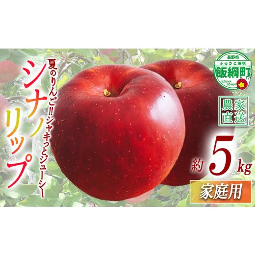ふるさと納税 りんご 長野県 飯綱町 りんご シナノリップ 家庭用 5kg 若林農園 沖縄県への配送不可 2026年8月中旬頃から2026年8月下旬頃まで順次発送予定 令和…