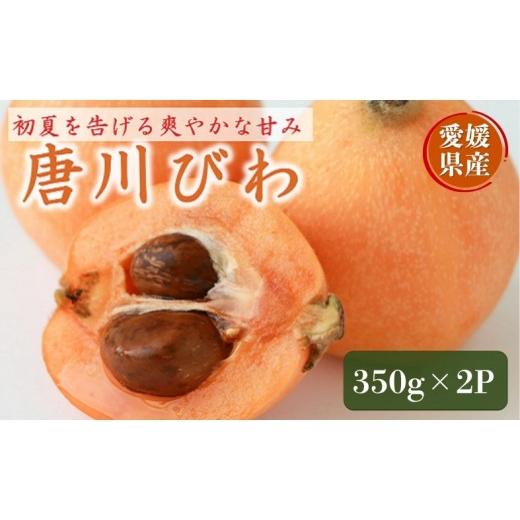ふるさと納税 果物類 びわ 愛媛県 伊予市 びわ 唐川びわ 350g×2パック 2026年5月下旬以降発送 ブランド認定品 季節限定 数量限定 人気 枇杷 フルーツ 果物 旬…