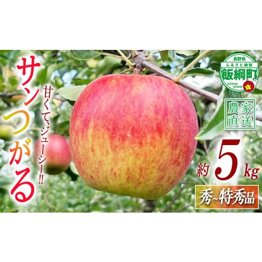 ふるさと納税 りんご 長野県 飯綱町 りんご サンつがる 秀 〜 特秀 5kg 若林農園 沖縄県への配送不可 2026年8月下旬頃から2026年9月上旬頃まで順次発送予定 令…