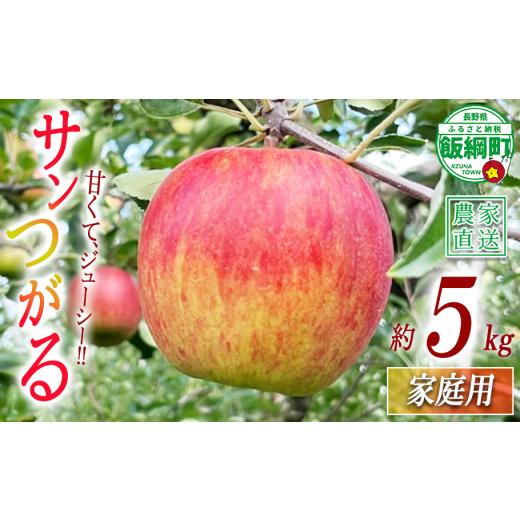 ふるさと納税 りんご 長野県 飯綱町 りんご サンつがる 家庭用 5kg 若林農園 沖縄県への配送不可 2026年8月下旬頃から2026年9月上旬頃まで順次発送予定 令和8…