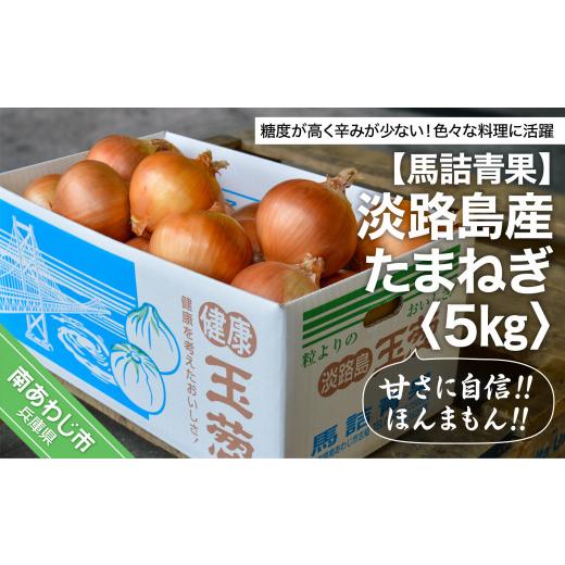 ふるさと納税 野菜類 玉ねぎ 兵庫県 南あわじ市 淡路島の青果屋 完熟玉ねぎ予約 淡路島産たまねぎ 5kg 甘さに自信 ほんまもん R8.5月末〜発送