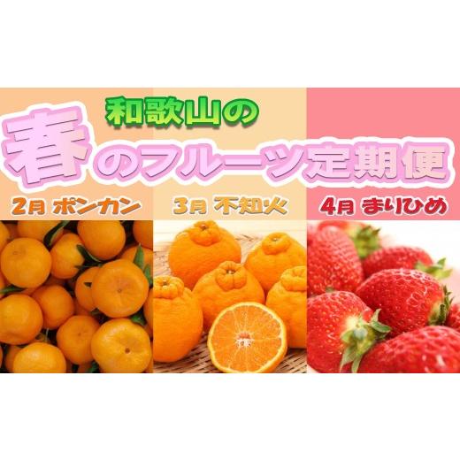 ふるさと納税 果物の詰合せ 和歌山県 九度山町 定期便 全3回 2月・3月・4月発送 和歌山の春のフルーツ(ポンカン・不知火・まりひめ)[TM259]