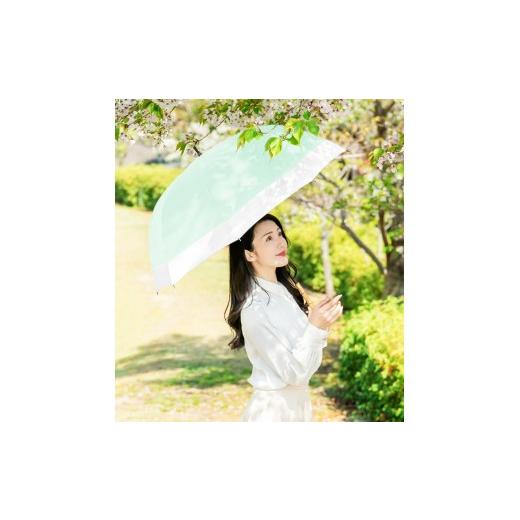 ふるさと納税 雑貨・日用品 兵庫県 芦屋市 ロサブラン 日傘 ラージ コンビ 60cm ミント×アイボリー | 100% 完全遮光 晴雨兼用 Rose blanc 傘 カサ uvカット …