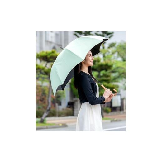 ふるさと納税 雑貨・日用品 兵庫県 芦屋市 ロサブラン 日傘 ラージ プレーン 60cm ミント(シルバー) | 100% 完全遮光 晴雨兼用 Rose blanc 傘 カサ uvカット …