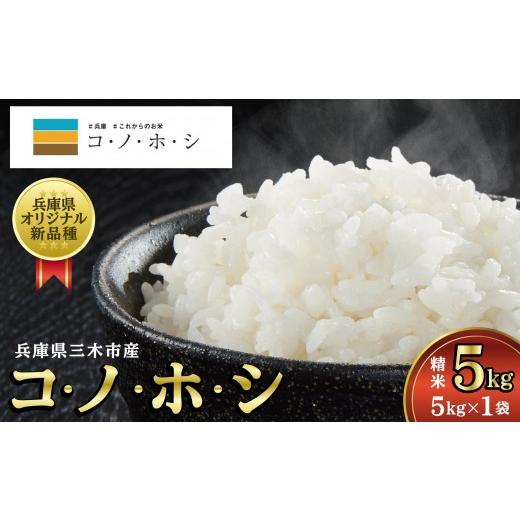 ふるさと納税 米 兵庫県 三木市 令和7年産 新米 新品種『コノホシ』 5kg 白米 精米 お米 こめ コメ コノホシ 人気 三木市産 兵庫県産