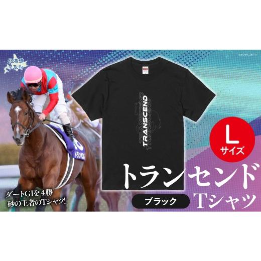 ふるさと納税 服 北海道 平取町 トランセンド Tシャツ 選べる4サイズ L ふるさと納税 人気 おすすめ ランキング 馬 競馬 競走馬 引退馬 トランセンド Tシャ…