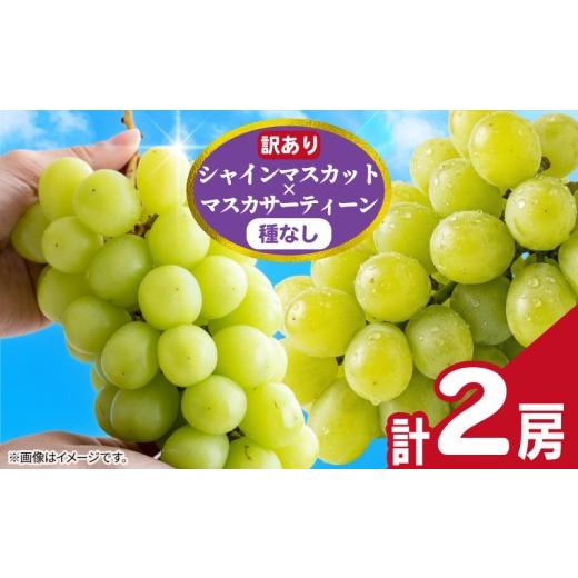 ふるさと納税 ぶどう マスカット 千葉県 銚子市 訳あり シャインマスカット × マスカサーティーン ( 種なし ) 1房 450g 以上 2026年 発送分 数量限定 先行…