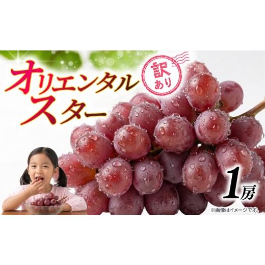 ふるさと納税 ぶどう マスカット 千葉県 銚子市 訳あり ぶどう オリエンタルスター 1房 450g 以上 2026年 発送分 数量限定 先行予約 種なし 葡萄 マスカット …