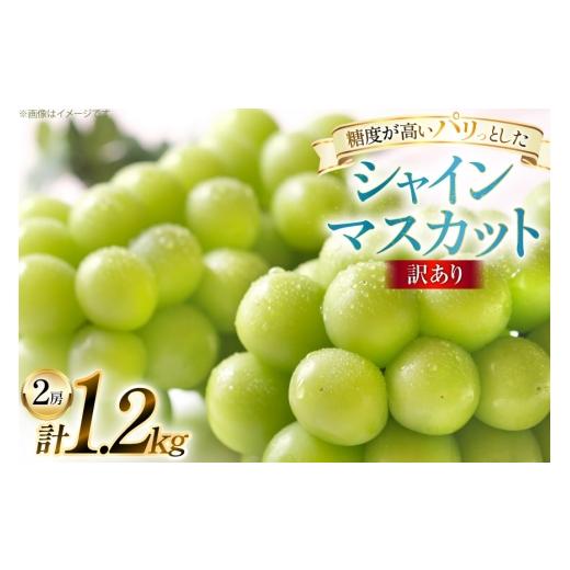 ふるさと納税 ぶどう マスカット 山形県 高畠町 期間限定発送 訳あり シャインマスカット 2房 1.2kg 田制農園 山形県 高畠町 tk06ayt230011 ぶどう ブドウ 葡…