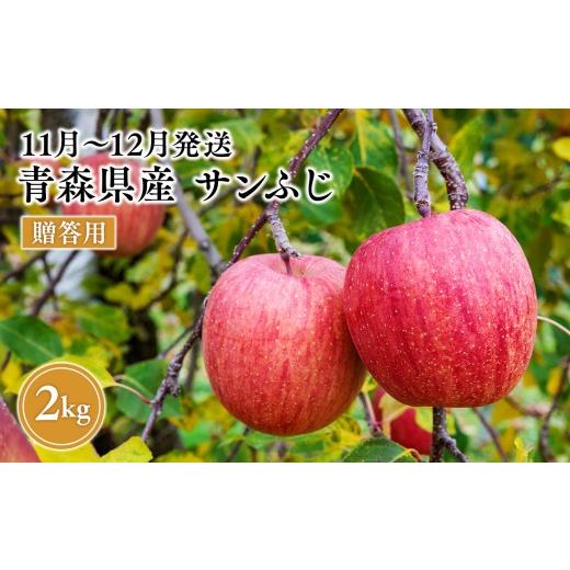 ふるさと納税 りんご 青森県 平川市 2026年11月〜12月発送 贈答用サンふじ 約2kg 原田農園