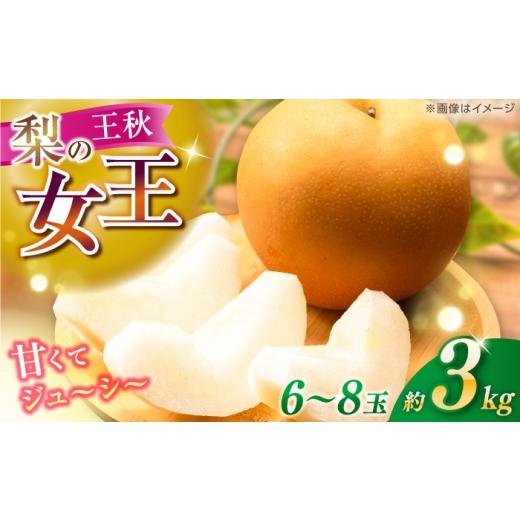 ふるさと納税 梨 高知県 高知市 先行予約 王秋 約3kg(6〜8玉) [2026年11月上旬〜2026年12月10日] / 高知 王秋 梨 和梨 果物 フルーツ デザート 川渕果樹…