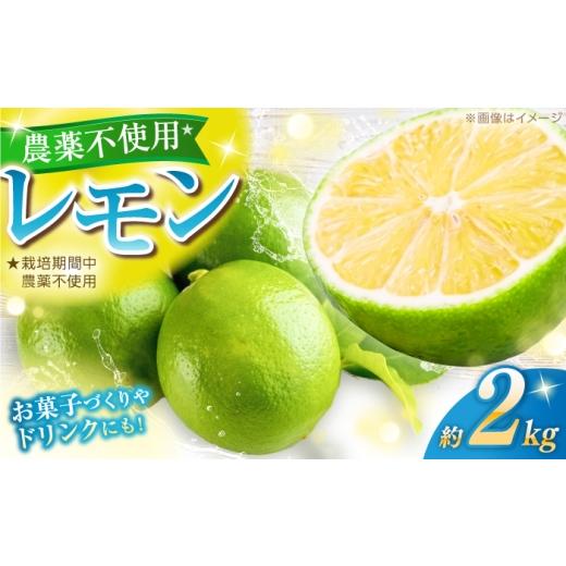 ふるさと納税 みかん・柑橘類 レモン 高知県 高知市 先行予約 レモン 約2kg 栽培期間中農薬不使用 [2026年10月上旬〜2026年12月末] / 高知 レモン 果物 柑…