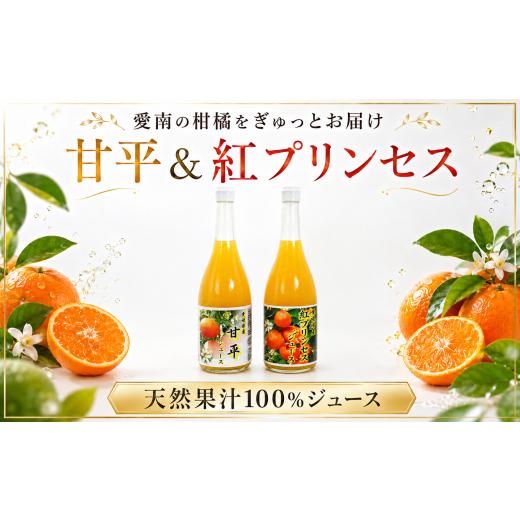 ふるさと納税 果汁飲料 みかん 愛媛県 愛南町 紅プリンセスジュース 甘平ジュース ストレート 各720ml × 1本 2本セット 中山農園 みかん 蜜柑 プリンセス 紅…