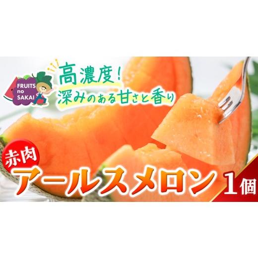 ふるさと納税 メロン メロン赤肉 茨城県 つくばみらい市 赤肉アールスメロン 1玉 赤肉 高糖度 甘い 美味しい フルーツ 誕生日 プレゼント ギフト 贈り物 父の…