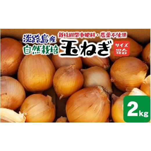 ふるさと納税 野菜類 玉ねぎ 兵庫県 - 淡路島産 栽培期間中肥料・農薬不使用 自然栽培玉ねぎ 2kg / 野菜 自然栽培 農薬不使用 ブランド タマネギ オニオン ス…