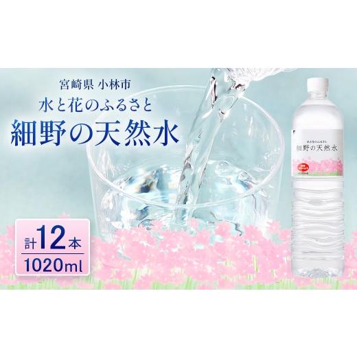 ふるさと納税 水・ミネラルウォーター 500mL〜999mL 宮崎県 小林市 シリカたっぷり 細野の天然水1,020ml×12本×1箱(ミネラルウォーター 天然水 水 中硬水 …