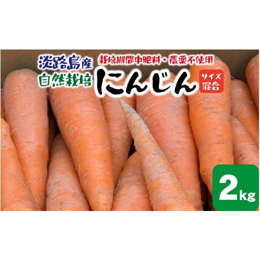 ふるさと納税 野菜類 玉ねぎ 兵庫県 - 淡路島産 栽培期間中肥料・農薬不使用 自然栽培人参 2kg / 野菜 自然栽培 農薬不使用 兵庫 兵庫県 洲本市 にんじん ニ…