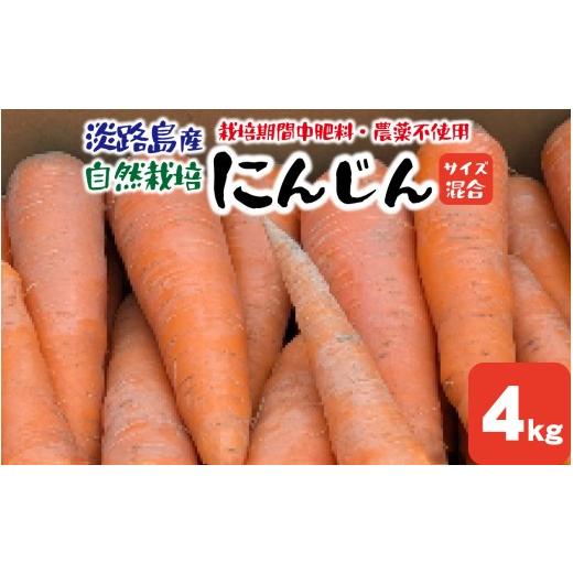 ふるさと納税 野菜類 人参 兵庫県 - 期間限定 淡路島産 栽培期間中肥料・農薬不使用 自然栽培人参 4kg / 野菜 自然栽培 農薬不使用 兵庫 兵庫県 洲本市 にん…