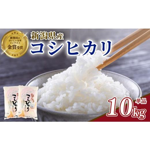 ふるさと納税 米 コシヒカリ 新潟県 新発田市 令和7年産 コシヒカリ 10kg 新潟県産 玄米不可 新潟県 新潟米 新発田産 新発田 お米 米 こめ コシヒカリ 新発田…