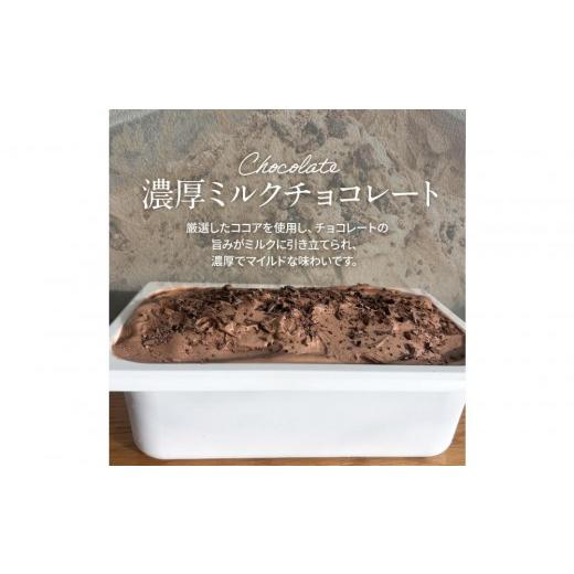 ふるさと納税 アイス・ヨーグルト ジェラート 大阪府 貝塚市 9月発送 ジェラート 大容量 業務用 2L 濃厚ミルクチョコレート mix 2026年9月出荷