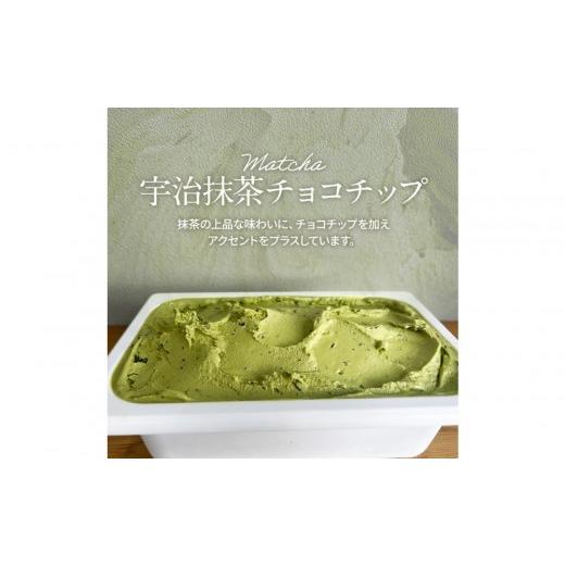 ふるさと納税 アイス・ヨーグルト ジェラート 大阪府 貝塚市 9月発送 ジェラート 大容量 業務用 2L 宇治抹茶チョコチップ 2026年9月出荷