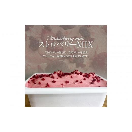 ふるさと納税 アイス・ヨーグルト ジェラート 大阪府 貝塚市 9月発送 ジェラート 大容量 業務用 2L ストロベリーmix 2026年9月出荷