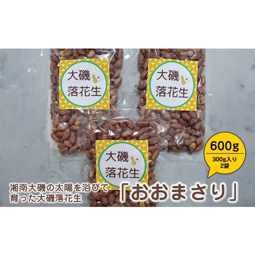 ふるさと納税 豆類 落花生 神奈川県 大磯町 湘南大磯の太陽を浴びて育った大磯落花生 「おおまさり」 たっぷり600g(300g入り2袋) おつまみ 大容量 神奈川…