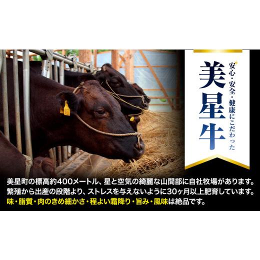 ふるさと納税 牛肉 セット 岡山県 浅口市  12ヶ月定期便 美星牛 お肉の定期便 サーロインステーキ 肩ローススライス しゃぶしゃぶ用 ハレノヒ良品《お申込み月…_4