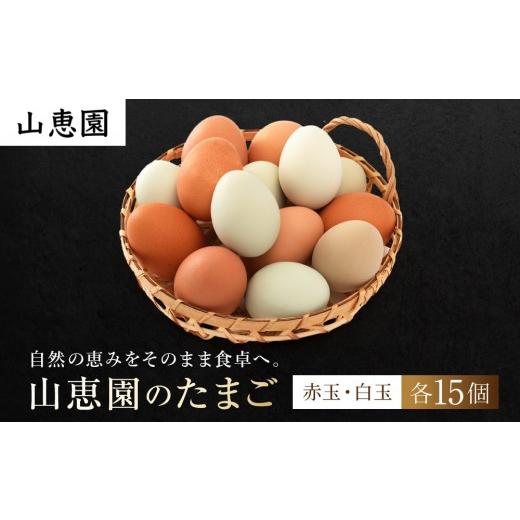 ふるさと納税 卵(鶏、烏骨鶏等) 神奈川県 湯河原町 山恵園のたまご (赤玉15個+白玉15個)