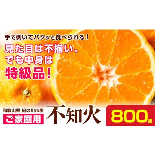 ふるさと納税 果物類 みかん 和歌山県 紀の川市 ご家庭用 不知火 約800g [2027年2月下旬-2027年4月中旬頃出荷]たっぷり しらぬい ご家庭用 柑橘 柑橘類 ミカ…