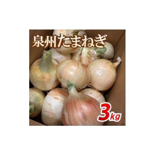 ふるさと納税 野菜類 玉ねぎ 大阪府 高石市 [無選別約3kg|数量限定]泉州たまねぎ 栽培期間中除草剤・殺菌剤不使用 1734819