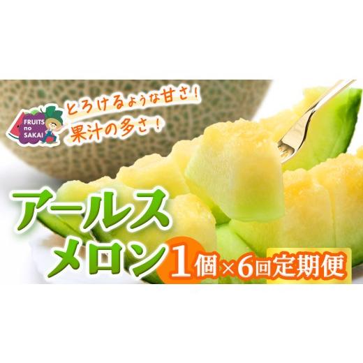 ふるさと納税 メロン メロン青肉 茨城県 つくばみらい市 定期便