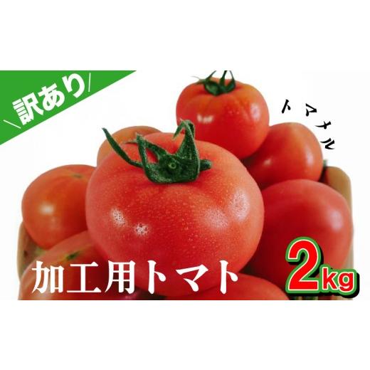 ふるさと納税 トマト 山口県 下関市 訳あり 加工用 トマト 2kg トマメル とまと 野菜 産地直送 選べる 容量 料理 調理用 高糖度トマト リコピン ビタミンC 美…