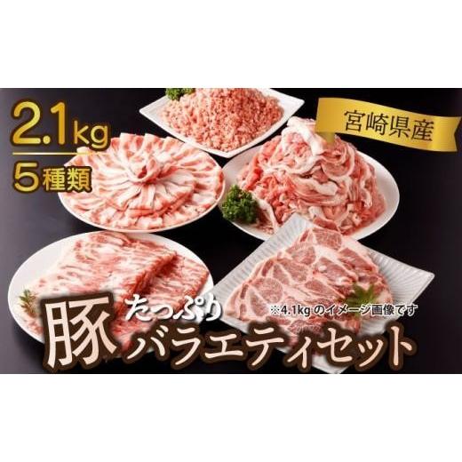 ふるさと納税 豚肉 セット 宮崎県 串間市 [2026年6月発送]宮崎県産豚バラエティー2.1kgセット_K033-051-2606 <2.1kg>2026年6月発送