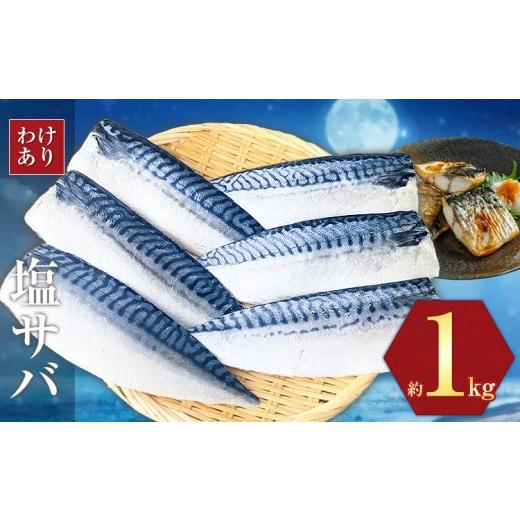 ふるさと納税 旬の鮮魚等 千葉県 勝浦市 訳あり 塩サバ 1kg 海鮮 無添加[2026年6月25日より順次出荷予定]切り身 千葉県 勝浦市 株式会社西川 塩 さば サバ …