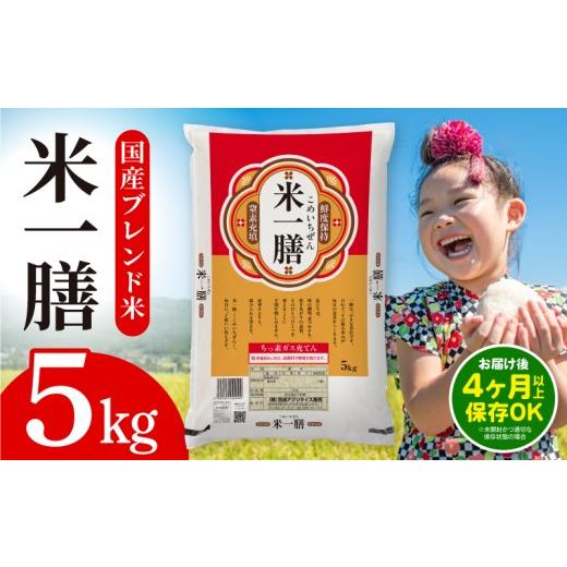 ふるさと納税 米 ブレンド 宮崎県 宮崎市 国産ブレンド米 「米一膳」5kg_M181-006-01-jul 5kg 7,900円