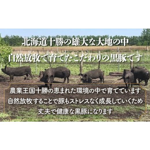 ふるさと納税 肉 北海道 鹿追町 定期3ヶ月 鹿追産 自然放牧黒豚ジンギスカンセット ふるさと納税 人気 おすすめ ランキング 黒豚 黒豚肉 豚肉 肉 豚 ジンギス…_3