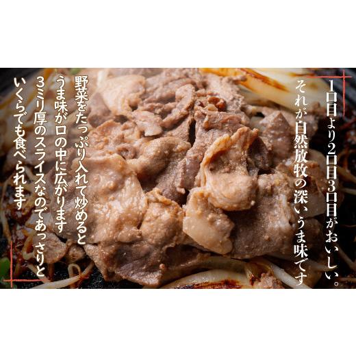 ふるさと納税 肉 北海道 鹿追町 定期3ヶ月 鹿追産 自然放牧黒豚ジンギスカンセット ふるさと納税 人気 おすすめ ランキング 黒豚 黒豚肉 豚肉 肉 豚 ジンギス…_4