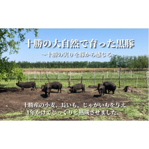 ふるさと納税 肉 ソーセージ 北海道 鹿追町 定期2ヶ月 鹿追産 自然放牧黒豚無添加生ソーセージ＆ジンギスカンの贅沢セット ふるさと納税 人気 おすすめ ラン…_3