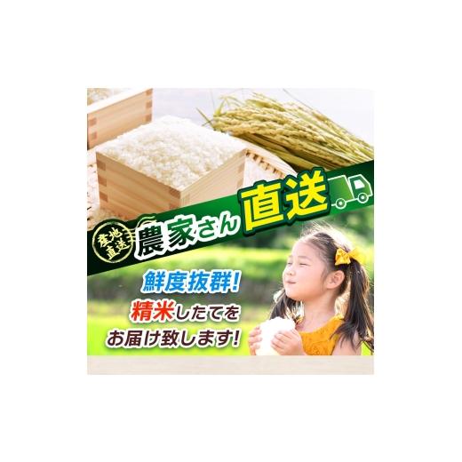ふるさと納税 米 コシヒカリ 栃木県 真岡市 先行予約 定期便6回 ＼無洗米／ 栃木県産コシヒカリ 5kg | 真岡市産 コシヒカリ 銘柄 お米 米 おにぎり おむすび …_4