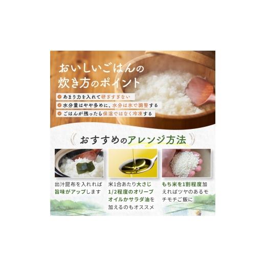 ふるさと納税 米 コシヒカリ 栃木県 真岡市 先行予約 定期便6回 ＼無洗米／ 栃木県産コシヒカリ 5kg | 真岡市産 コシヒカリ 銘柄 お米 米 おにぎり おむすび …_5