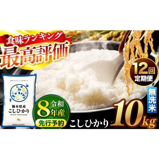 ふるさと納税 米 コシヒカリ 栃木県 真岡市 先行予約 定期便12回 ＼無洗米/ 栃木県産コシヒカリ 10kg | 真岡市産 コシヒカリ 銘柄 お米 米 おにぎり おむす…