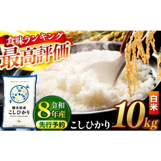 ふるさと納税 米 コシヒカリ 栃木県 真岡市 先行予約 ＼白米/ 栃木県産コシヒカリ 10kg | 真岡市産 コシヒカリ 銘柄 お米 米 おにぎり おむすび ふるさと納…