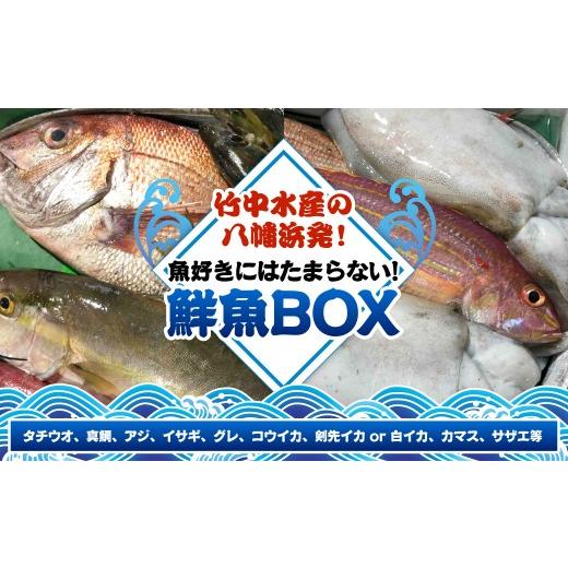 ふるさと納税 魚貝類 愛媛県 八幡浜市 竹中水産の八幡浜発 「魚好きにはたまらない 鮮魚BOX」 F22-135 _鮮魚 天然 魚介 魚介類 海鮮 冷蔵 活き 詰合せ セット …