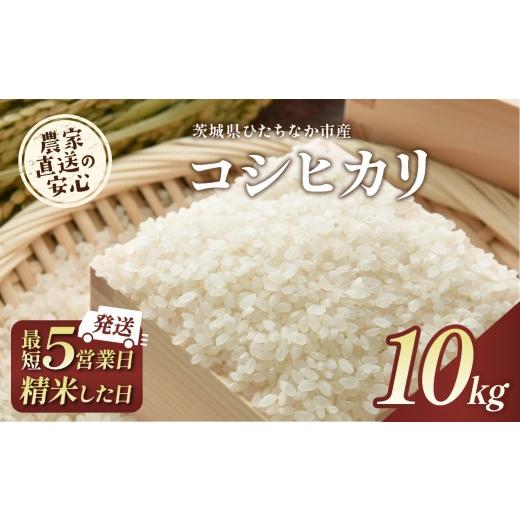 ふるさと納税 米 コシヒカリ 茨城県 ひたちなか市 6月上旬から発送 コシヒカリ白米10kg 芋米万歳タラザキワークス | 家計応援 こしひかり コシヒカリ ごはん …